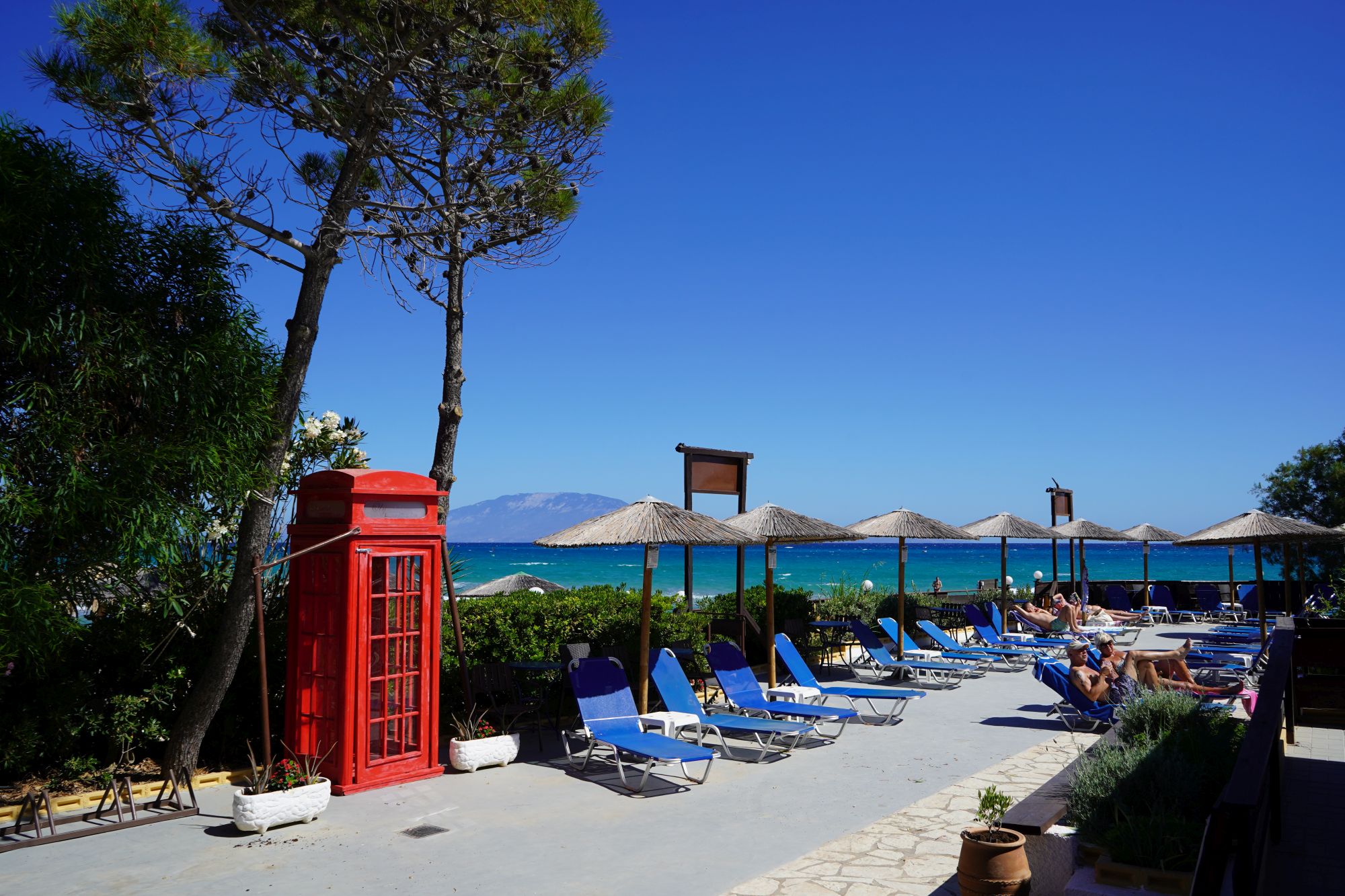 Greek Cuisine at Oasis